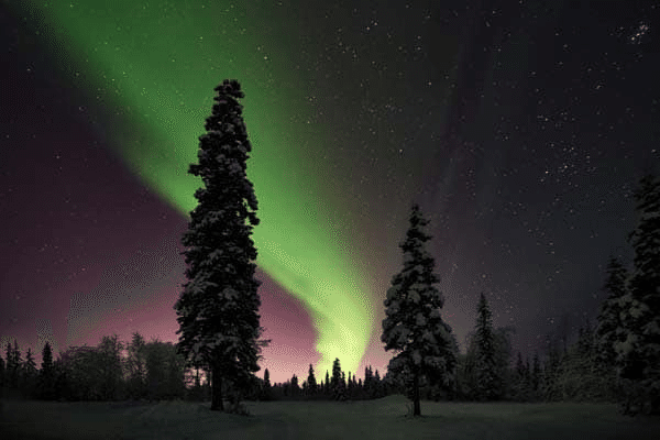 扩展企业的轻松管理